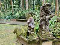 Immersed in Nature at Sangeh Monkey Forest