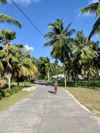 Tropical Paradise Unveiled: Breathtaking Scenery of La Digue