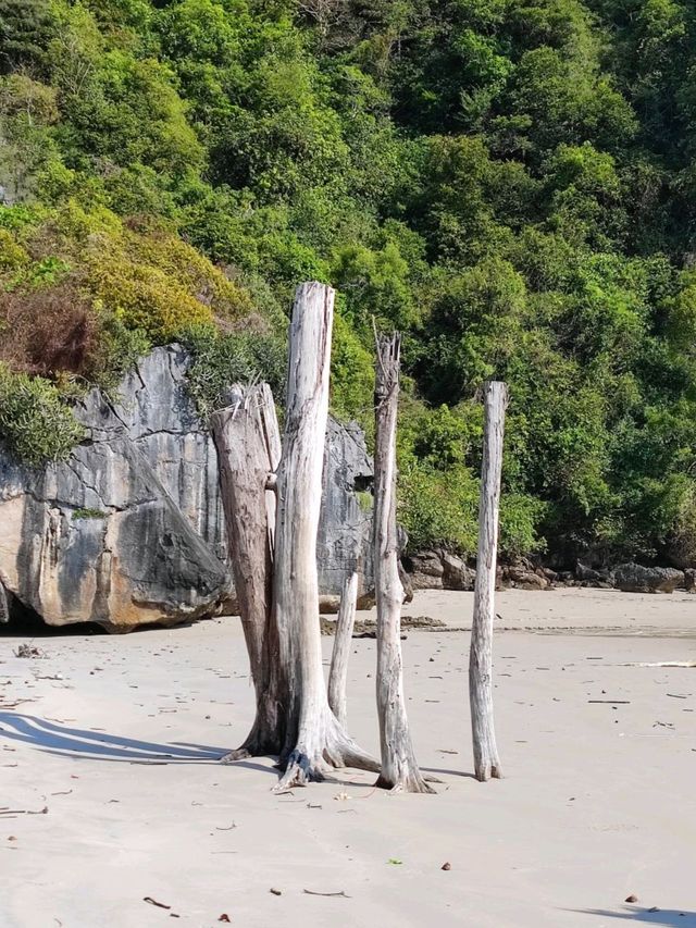 หาดสั้น จ.ตรัง พิกัดถ่ายรูปกับ ท่อนไม้ริมหาด