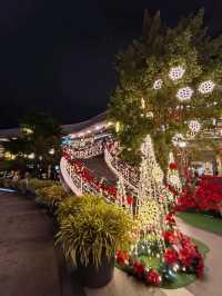 Holiday Bliss Under the Stars at Desa Park City