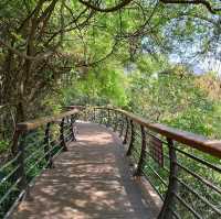 仙湖植物園（Xianhu Botanical Garden）：自然與生態的美麗結合