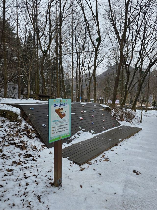 실시간 눈이와서 더 예뻤던 대전 상소동산림욕장💙