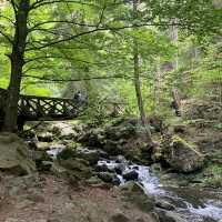 Hotel Hofgut Sternen-relax and hiking spot 🇩🇪