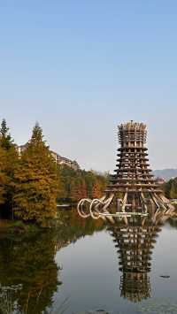 璧山秀湖公園探秘：免費4A級景區，一年四季花常開