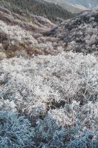 杭州初雪市區一小時可達的鸬鳥山賞雪攻略