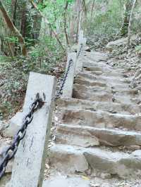 深圳徒步好去處勇登七娘山，與自然親密接觸