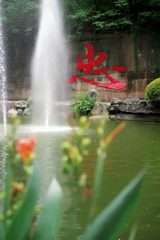 浪漫泸州｜藏在忠山公園的松弛感