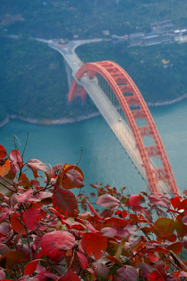 巫山紅葉‖文峰觀紅葉自駕攻略。