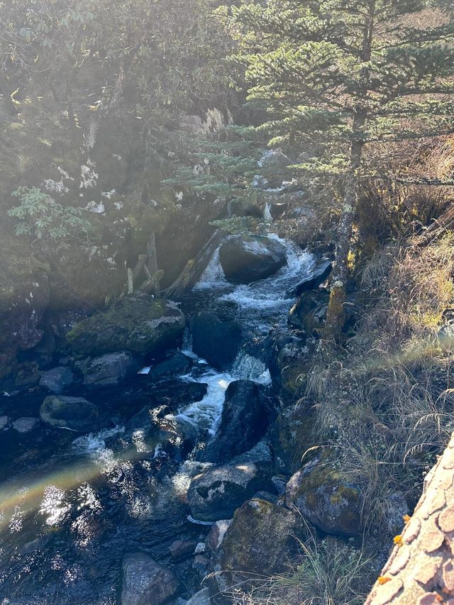 西昌螺髻山，秋日野趣，你以為的冬天，才是它的秋天