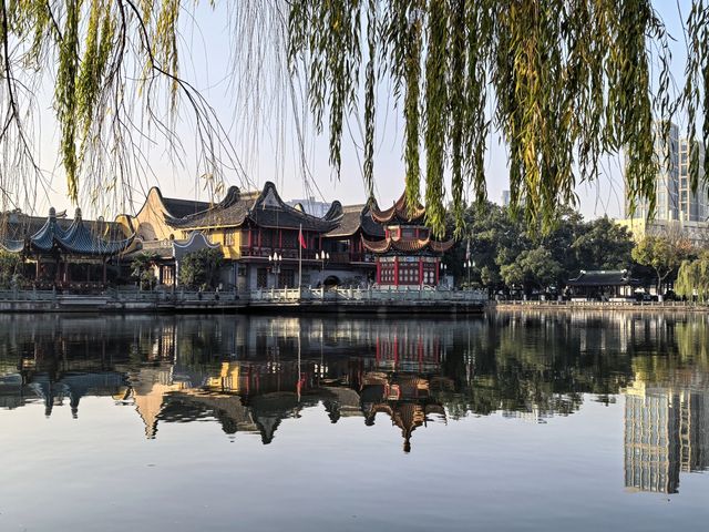 月湖公園的早晨丨穿越四季的江南園林