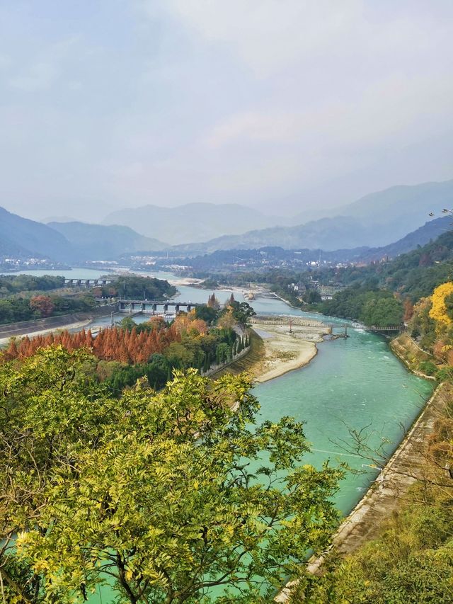 帶孩子遊成都-峨眉山-樂山 探秘熊貓基地的樂趣