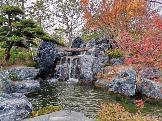 世界花藝園之禪境園和岩石花園