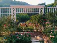 Yuntai Garden Design Stunns Right after Entrance