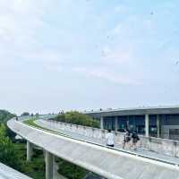 Open Seas, Open Breeze at Marina Barrage