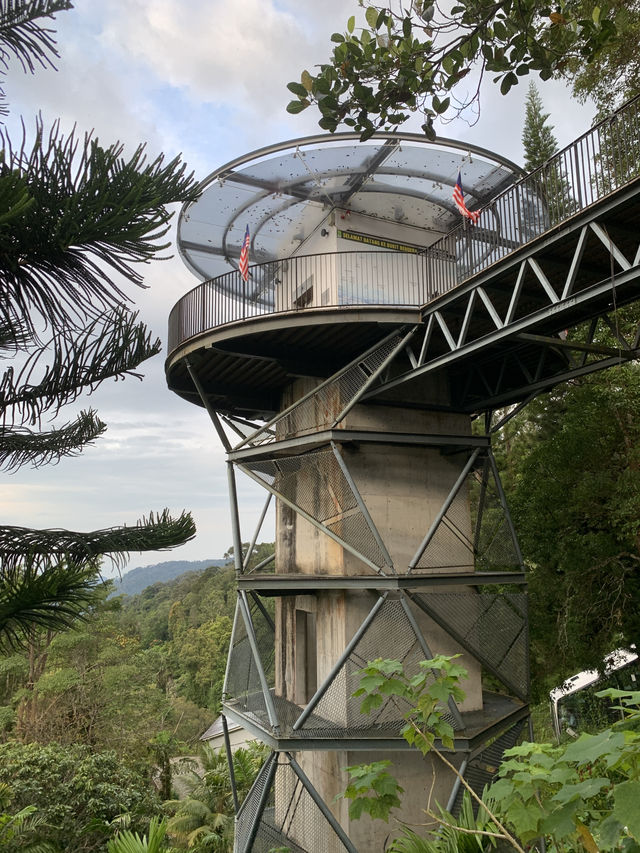 Chasing the Sunrise: A Serendipitous Morning on Penang Hill