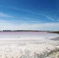 "Lake Hillier: Australia’s Stunning Pink Lake"