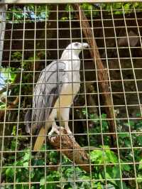 斯里蘭卡科倫坡動物園:和熱帶動物們來一次親密接觸