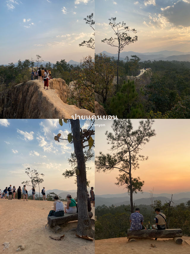 10 พิกัดเที่ยวแม่ฮ่องสอน | ฤดูหนาว 🏡⛰️🌼🌳