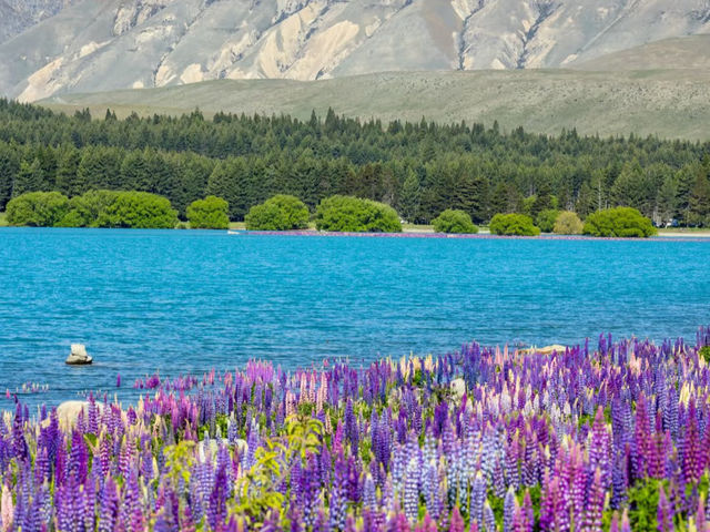 Visit Lake Tekapo