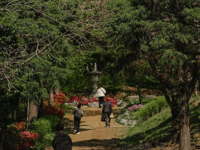 《奉恩寺——一處靜謐的心靈淨土》