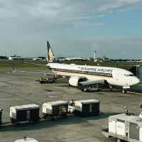 Elevating Regional Flights with Singapore Airlines