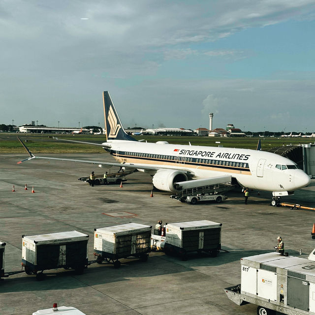 Elevating Regional Flights with Singapore Airlines