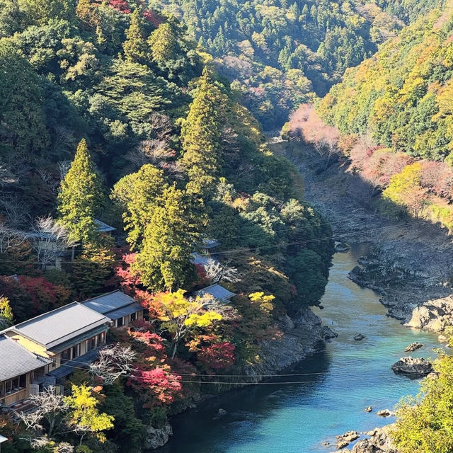 穿越自然之美，挑戰高尾山健行