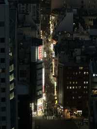 Sky-High Views at Tokyo Metropolitan Government Building Observatory