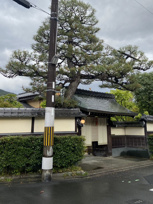 Biking Around Kyoto: A Different View of the City