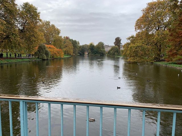 St. James Park: London's Serene Urban Escape