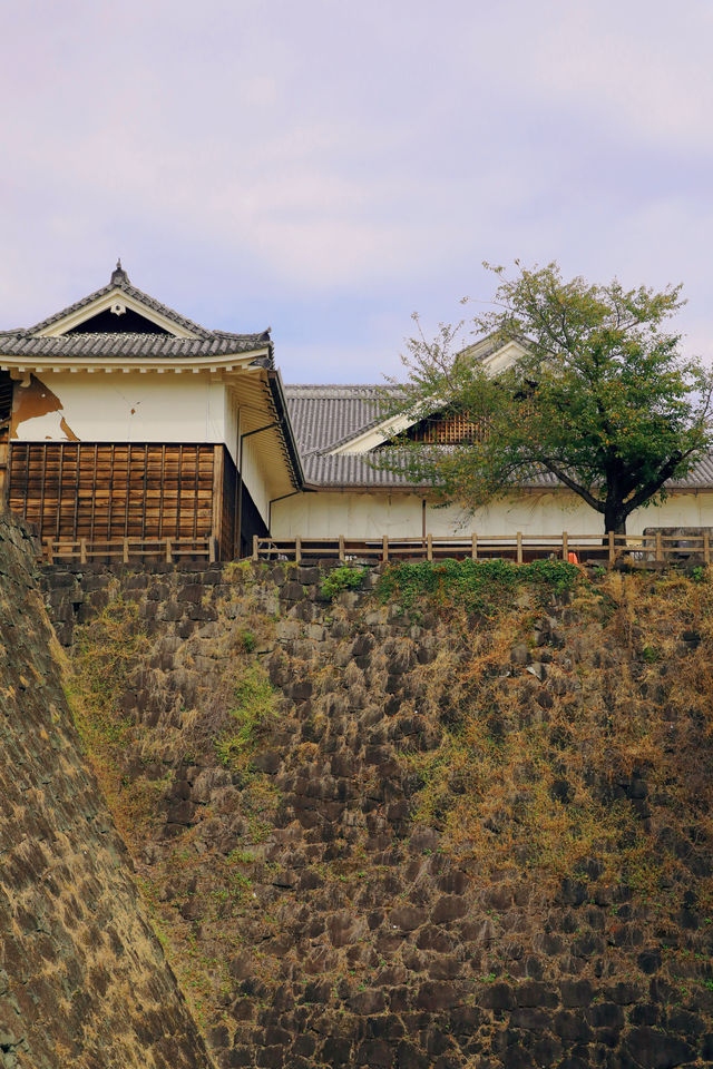 Kyushu Tour: We must visit Kumamoto for the sake of meeting the Minister~