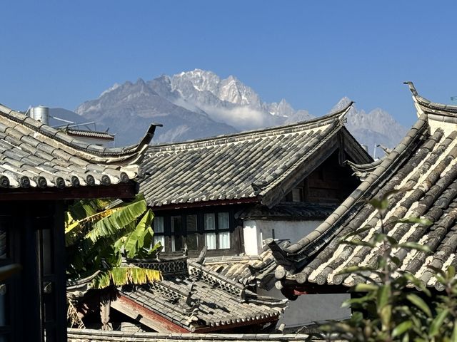 麗江這家︳遠眺雪山、喝茶、賞花。