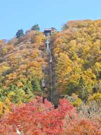 日本老年人冬日旅行攻略暖心建議。