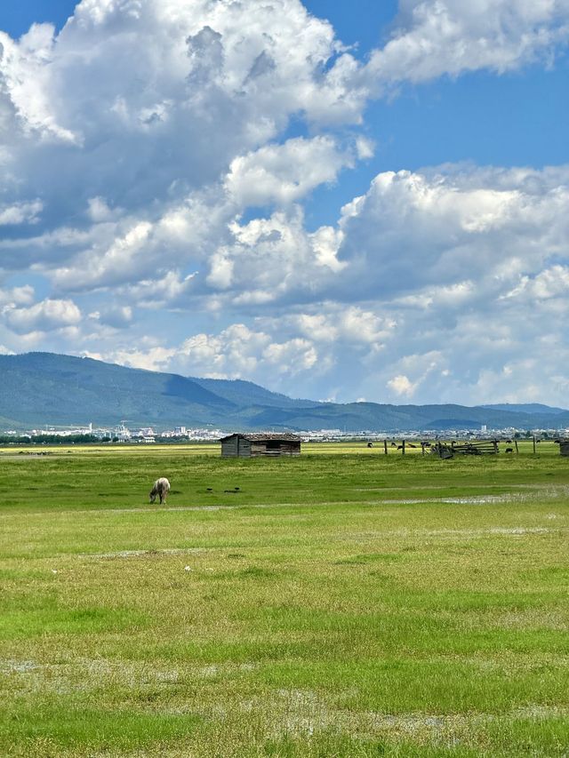 7日暢遊大理市-怒江-老姆登村 保姆級攻略來啦