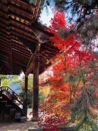 日本·京都清涼寺