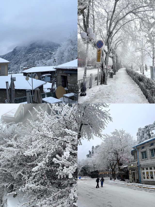 月薪3K，去廬山看雪，比去哈爾濱香多了！