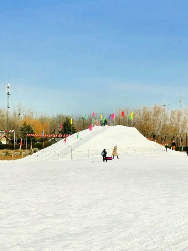 雪趣無限～蟹島冰雪大世界