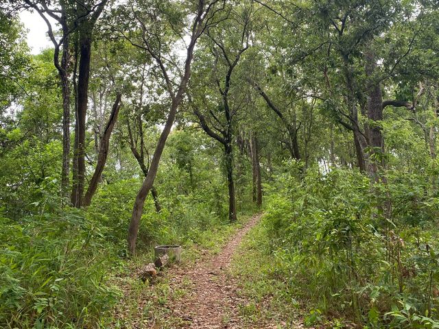 ชมธรรมชาติกับอุทยานแห่งชาติดอยขุนตาล⛰️🪵