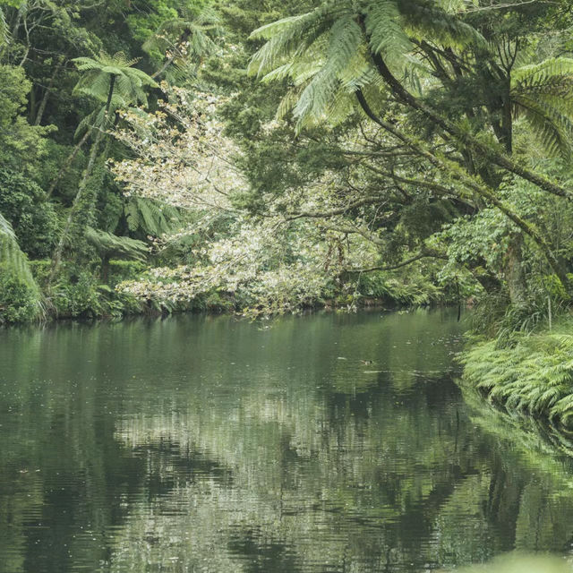 吉隆坡湖濱公園：綠洲中的城市樂趣，享受寧靜與平和