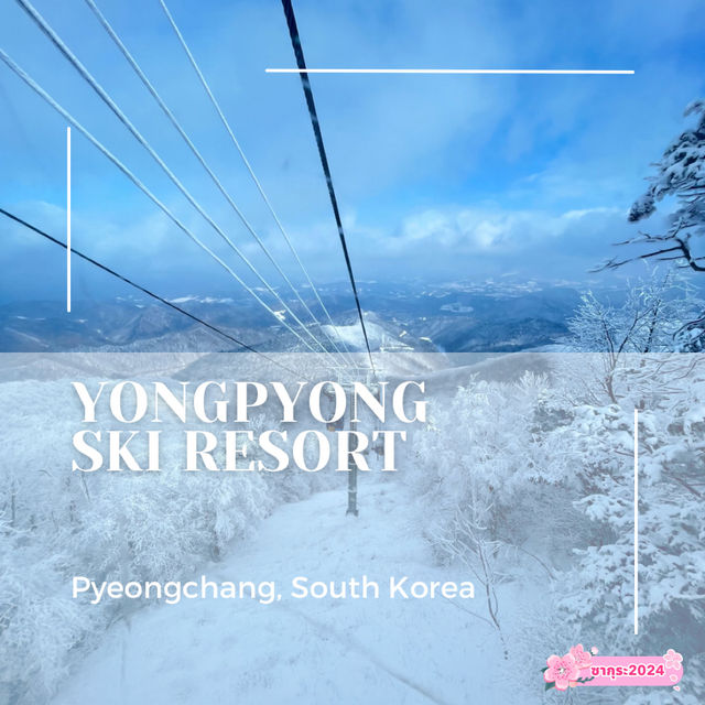 Yongpyong Ski Resort เกาหลีใต้