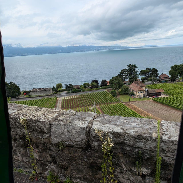 Elegance and Charm Overlooking Lausanne’s Splendor