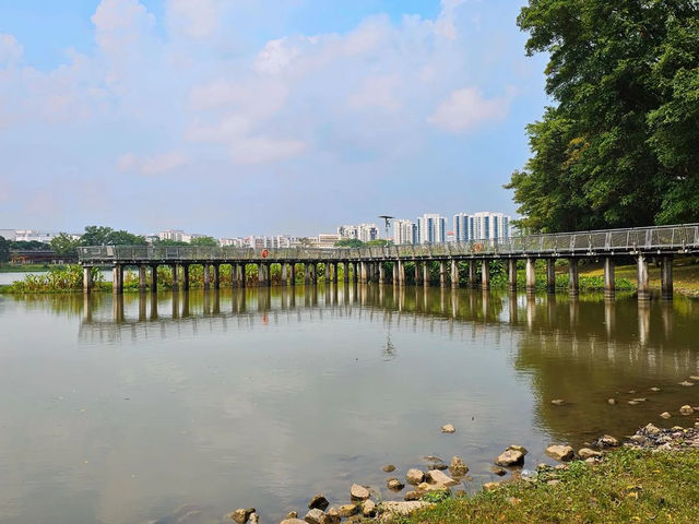 Jurong Lake Gardens