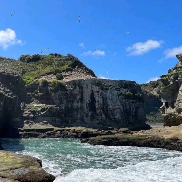 Muriwai Beach