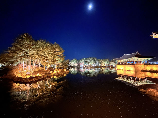 🇰🇷慶州✈️越夜越美麗的東宮與月池동궁과월지