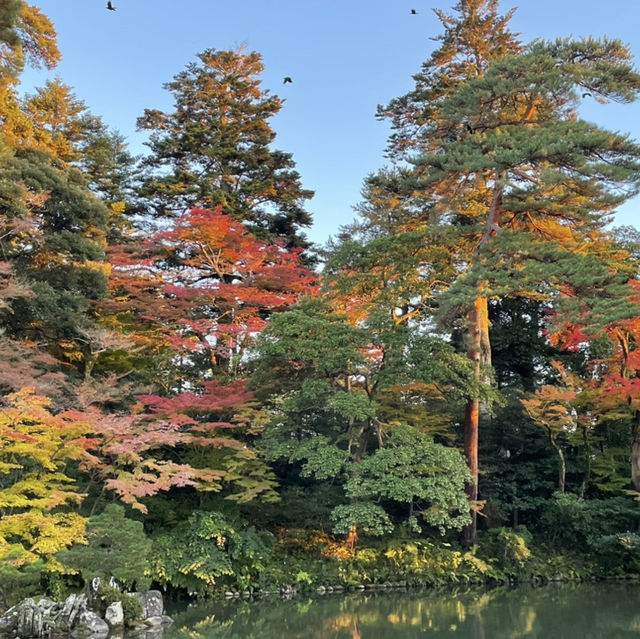 晚秋金澤漫步：兼六園的楓葉盛宴