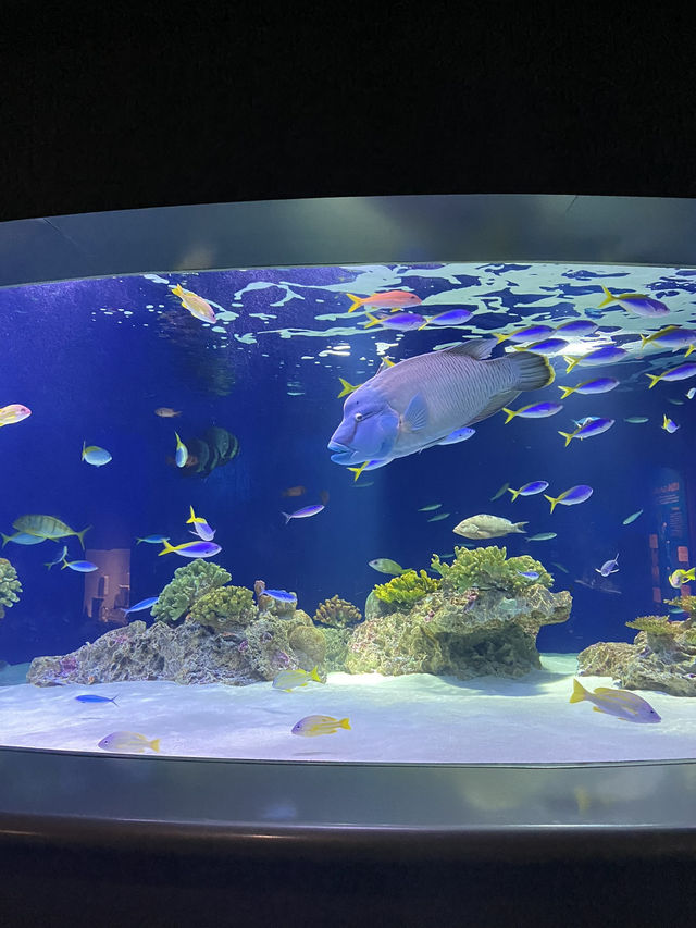 【福岡観光】マリンワールド海の中道：海と生き物が織りなす感動体験