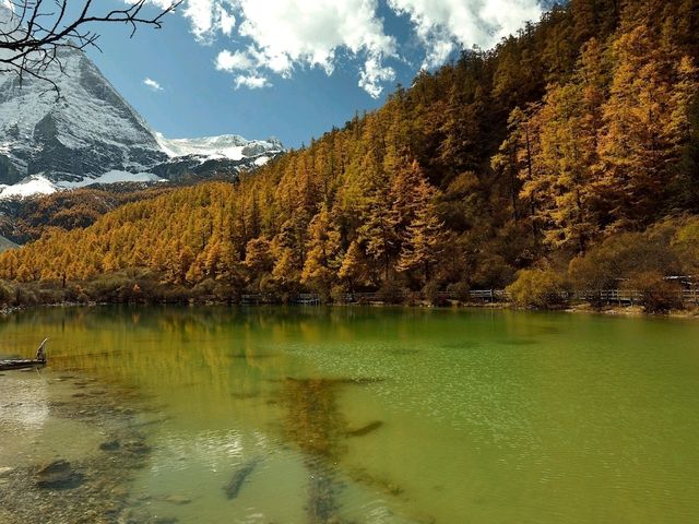 Best Autumn Viewing Experience 2/3 [Xiannairi Snow Mountain, Yading Nature Reserve]