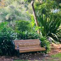 Green Oasis: Finding Peace at Williamstown Botanic Gardens