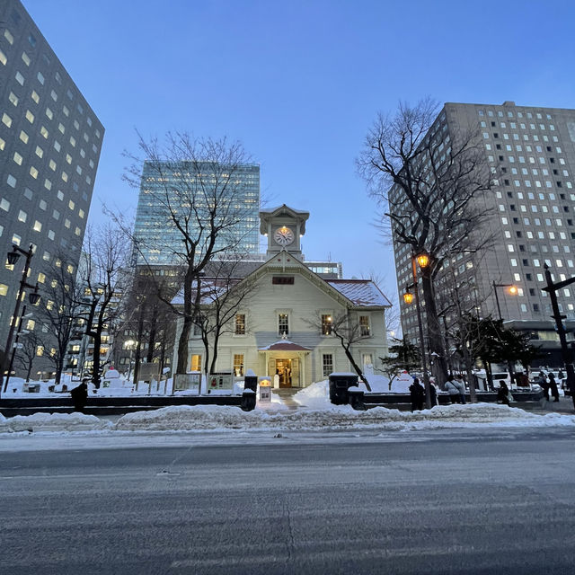 雪が降る冬の札幌へ