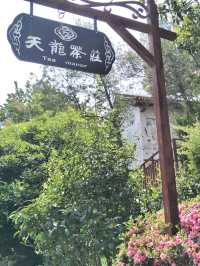 Escape to Tianlong Tea Valley: Where Culture Meets Nature